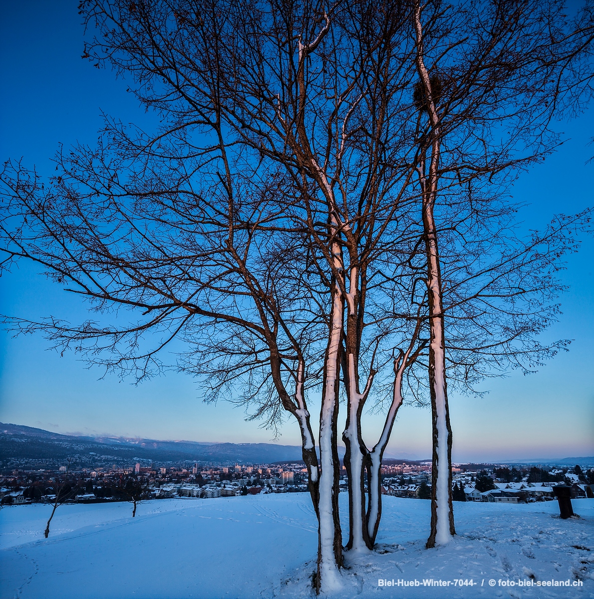 Bildname:  Biel-Hueb-Winter-7044- auf der Hueb über der Stadt BielBildgrösse: 5582  x 5622 px /  47.3 x 47.6 cm (300dpi)Stichwörter:  Baum, Berner...