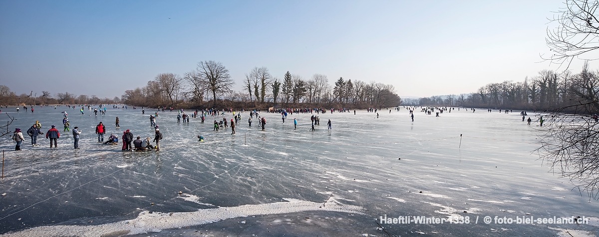 Bildname:  Haeftli-Winter-1338 Biel Seeland im WinterBildgrösse: 9364  x 3726 px /  79.3 x 31.5 cm (300dpi)Stichwörter:  Berner Seeland, Drei Seen...