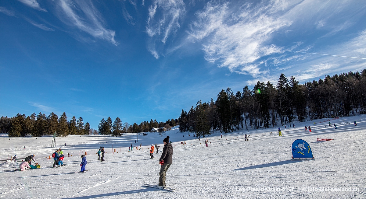 Bildname:  Les-Pres-d-Orvin-0167 Skidestination les pres d`OrvinBildgrösse: 8688  x 4734 px /  73.6 x 40.1 cm (300dpi)Stichwörter:  Drei Seen Land,...