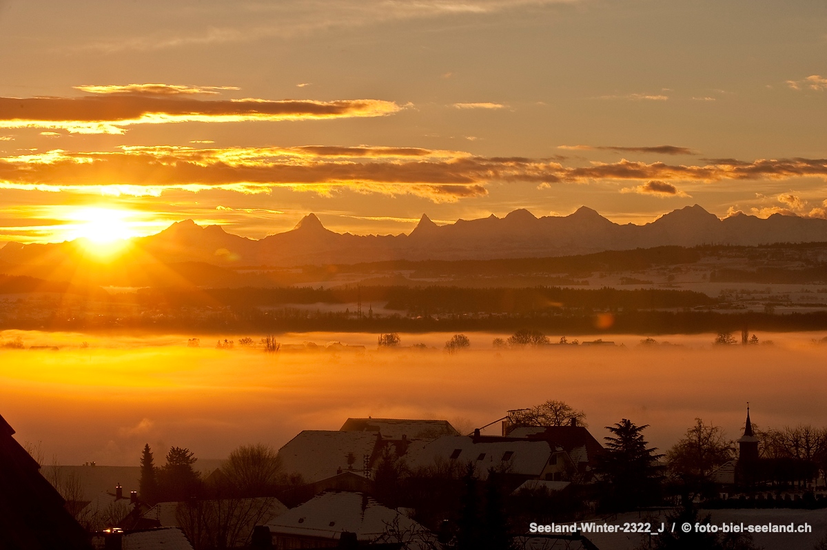 Bildname:  Seeland-Winter-2322_J Dorf Jens im Berner SeelandBildgrösse: 4256  x 2832 px /  36.0 x 24.0 cm (300dpi)Stichwörter:  Alpenpanorama, Dorf, 