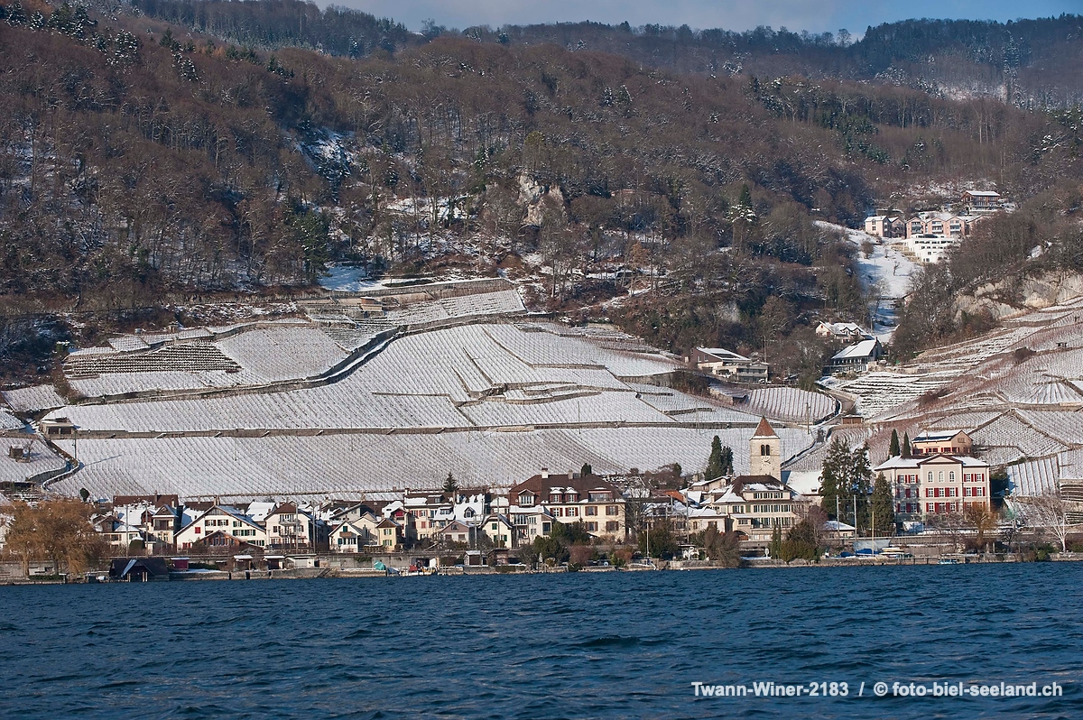 Bildname:  Twann-Winer-2183 Winterpanorama TwannBildgrösse: 4256  x 2832 px /  36.0 x 24.0 cm (300dpi)Stichwörter:  Berner Seeland, Bielersee, Drei...