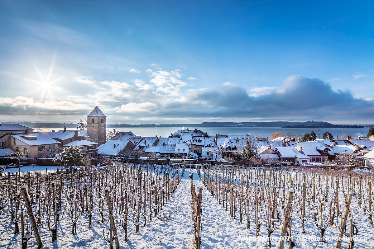 Bildname:  Twann-Winter-0071 Winterpanorama TwannBildgrösse: 8659  x 5773 px /  73.3 x 48.9 cm (300dpi)Stichwörter:  Berner Seeland, Drei Seen Land, 