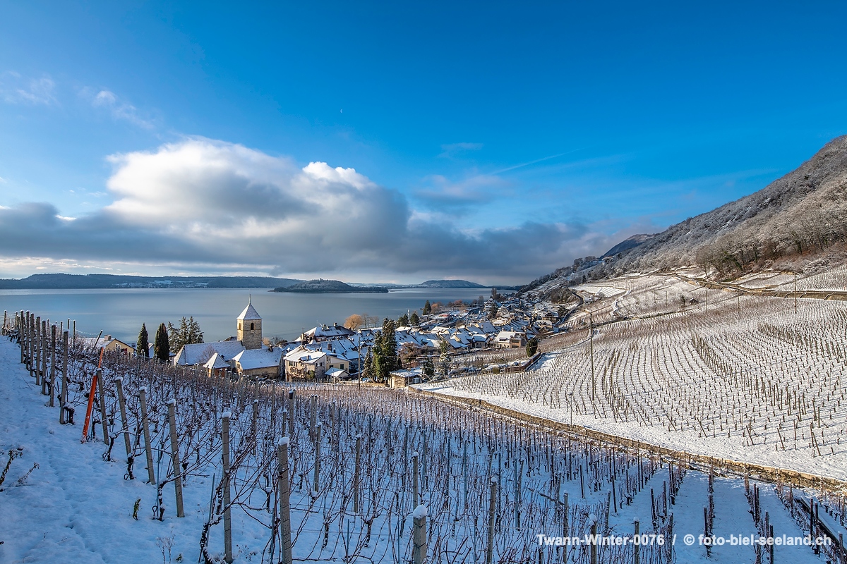 Bildname:  Twann-Winter-0076 Winterpanorama TwannBildgrösse: 8666  x 5777 px /  73.4 x 48.9 cm (300dpi)Stichwörter:  Berner Seeland, Drei Seen Land, 