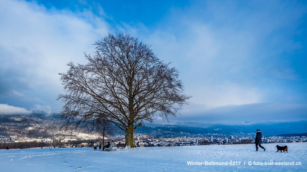 Bildname:  Winter-Bellmund-0217 auf der Hueb über der Stadt BielBildgrösse: 8688  x 4887 px /  73.6 x 41.4 cm (300dpi)Stichwörter:  Baum, Berner...