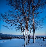 Winter bei Biel Bienne