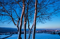 Winter bei Biel Bienne