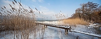 Winter am Bielersee 