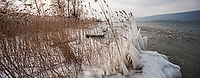 Winter am Bielersee bei Erlach