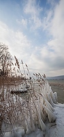 Winter am Bielersee bei Erlach