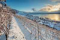 Twann am Bielersee im Winter