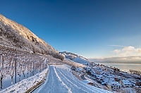 Twann am Bielersee im Winter