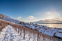 Twann am Bielersee im Winter