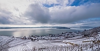 Twann am Bielersee im Winter