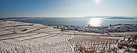 Twann am Bielersee im Winter