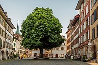 Altstadt-Biel-Bienne-5133 