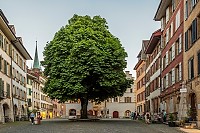 Altstadt-Biel-Bienne-5135 